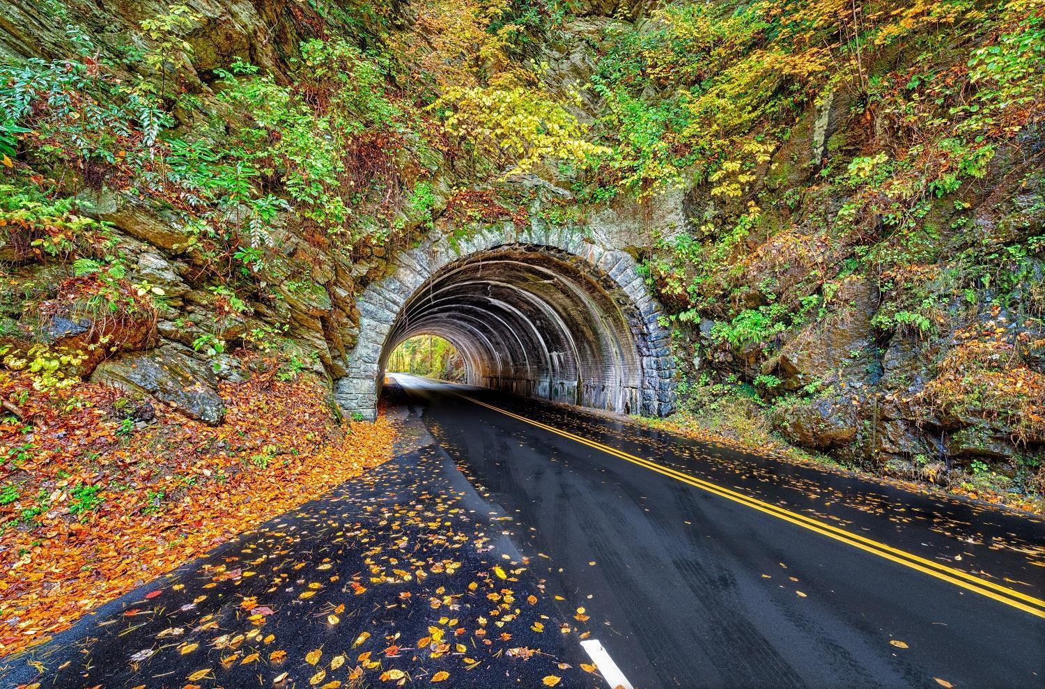 Rest Assured, Wifi, 1089 Free Tickets Each Paid Day, Dollywood And More Pigeon Forge Dış mekan fotoğraf